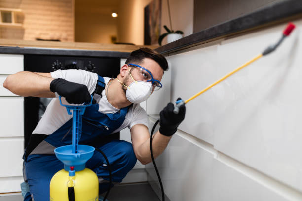 Best Local Pest Control Services  in Murphy, NC