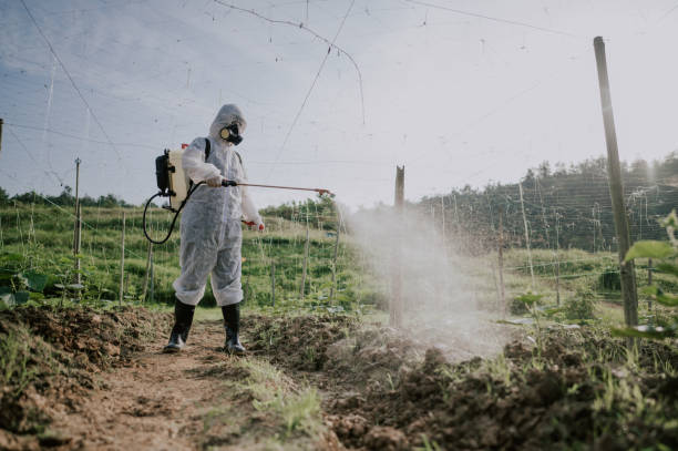 Best Pest Control for Homes  in Murphy, NC